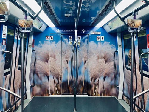 蘇州文青必去打卡 國(guó)內(nèi)首條全場(chǎng)景文化旅游特色線路蘇州軌交5號(hào)線開(kāi)通