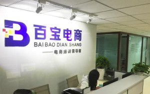 成都百寶教育咨詢 專(zhuān)業(yè)引領(lǐng)，成就未來(lái)教育之路