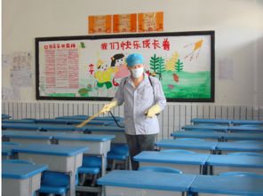 大連地區(qū)專(zhuān)業(yè)蟲(chóng)害防治與教育咨詢服務(wù)指南